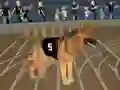 Mchezo Crazy Dog Racing Fever online