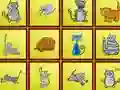 Mchezo Cats Findiff online