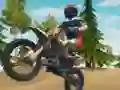Mchezo Dirt Bike Enduro Racing online