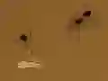 Mchezo Save the crumb online