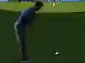 Mchezo Flash Golf 3D online