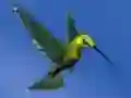 Mchezo Hummingbird House Escape online