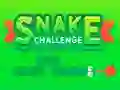 Mchezo Snake Challenge online