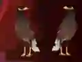 Mchezo Peikin Duck Escape online
