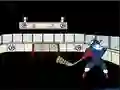Mchezo Capitaine Cage Hockey online