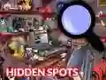 Mchezo Hidden Spots In The Room online