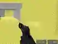 Mchezo Pixel Combat Multiplayer online
