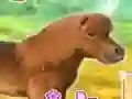 Mchezo My Dear Pony online