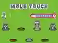 Mchezo Pole Touch online