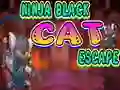 Mchezo Ninja Black Cat Escape online