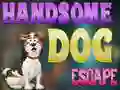 Mchezo Handsome Dog Escape online