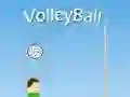 Mchezo VolleyBall online