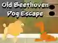 Mchezo Old Beethoven Dog Escape online