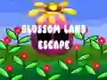 Mchezo Blossom Land Escape online