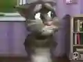 Mchezo Talking Tom Cat 2 online
