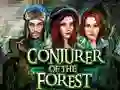 Mchezo Conjurer Of The Forest online