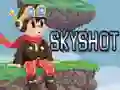 Mchezo Skyshot online