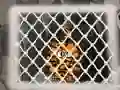 Mchezo Tiger Escape 1 online
