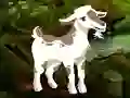 Mchezo Searching Goat Child online