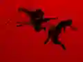 Mchezo Run Ninja Run online