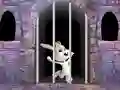 Mchezo Victory Rabbit Escape online