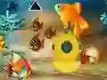 Mchezo Save The Mother Fish online