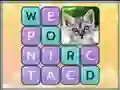 Mchezo Word Search Pictures online