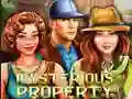 Mchezo Mysterious Property online