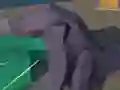 Mchezo Hakaiju online