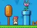 Mchezo Ninja Plumber online