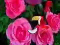 Mchezo Precious Rose Escape online