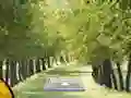 Mchezo Pair of Cat Escape online