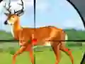 Mchezo Wild Hunt Hunting Games 3D online