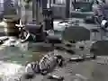 Mchezo Friends Rescue From Skeleton online