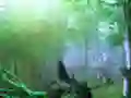 Mchezo Trapped Honeybee Escape online