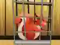 Mchezo Rescue The Red Squirrel From Cage online