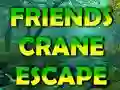Mchezo Friends Crane Escape online