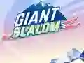 Mchezo Giant Slalom online