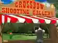 Mchezo Crossbow Shooting Gallery online