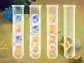 Mchezo Sort Bubbles online