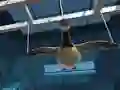 Mchezo Goose Museum online