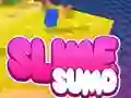 Mchezo Sumo Slime 3D online