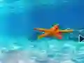 Mchezo Escape From Underwater Starfish online