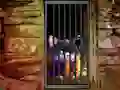 Mchezo Hidden Cat Escape online