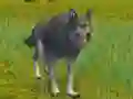 Mchezo The Wolf: Wild Animal Simulator online