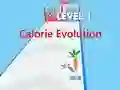 Mchezo Calorie Evolution online