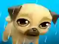 Mchezo My Virtual Pet Louie the Pug online