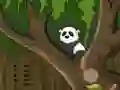 Mchezo Panda Jungle Escape online