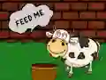 Mchezo Find The Cow Feed online