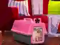 Mchezo Escape The Small Pug online